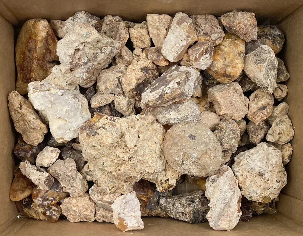 Box of Assorted Kauri Gum Image 1++