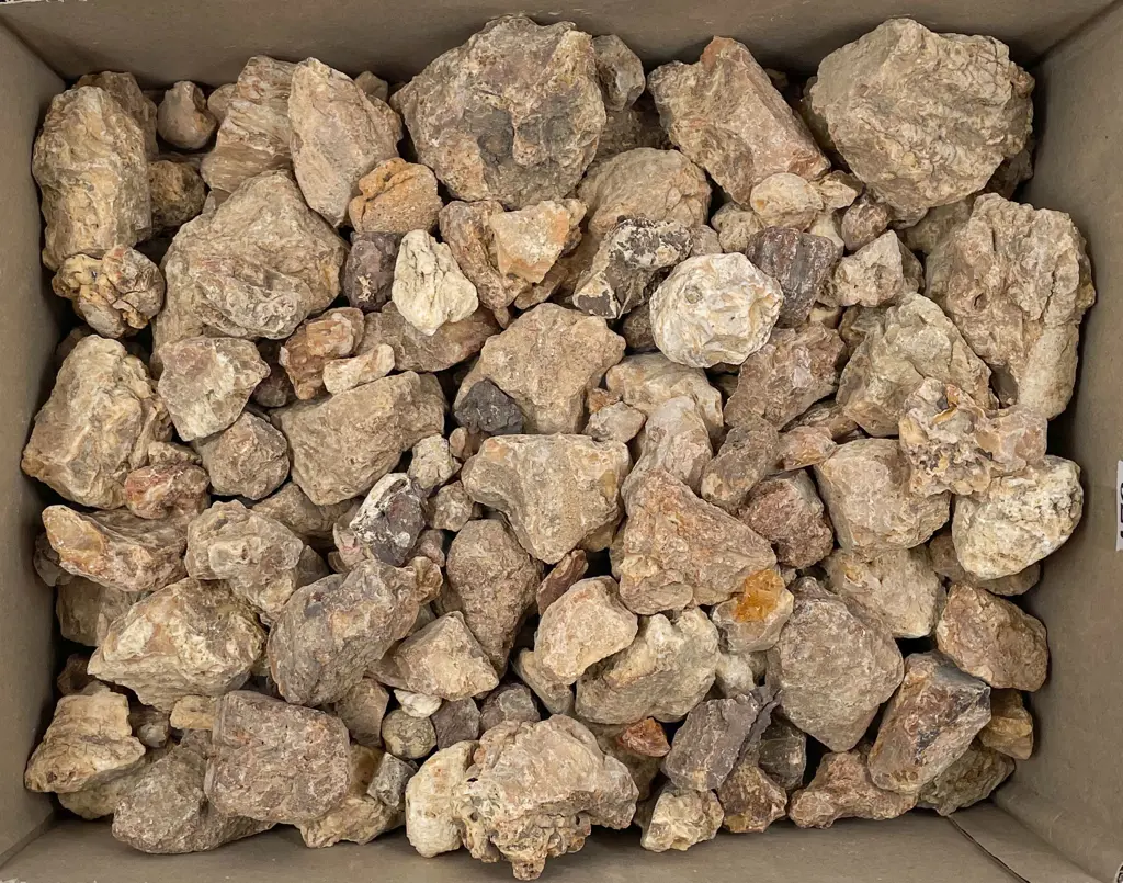 Box of Assorted Kauri Gum Image 1++