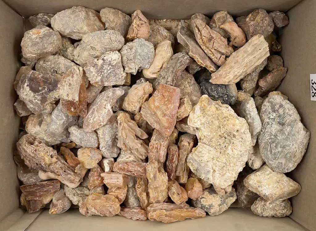 Box of Assorted Kauri Gum Image 1++