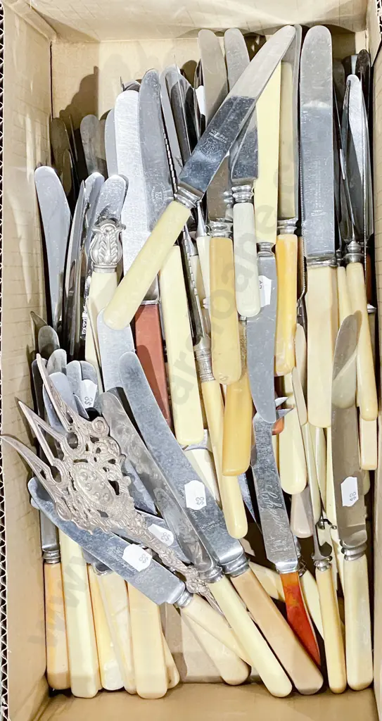 Box of Assorted Cutlery Including Bone Handled Image 1++