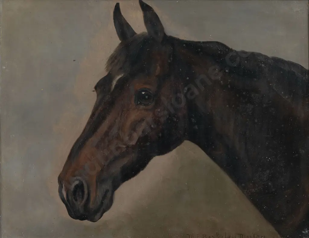 Mary E Berkeley Morton - Study of a Horse Image 1++