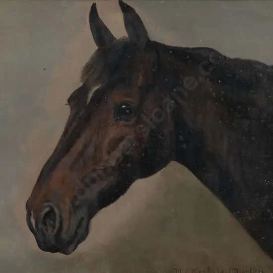 Mary E Berkeley Morton - Study of a Horse