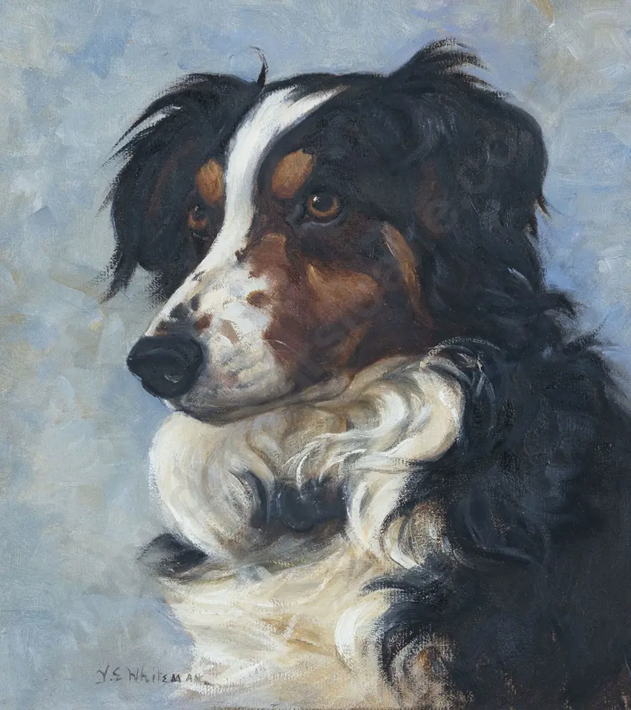 Vera Whiteman (1873 - 1952) - Border Collie Image 1++