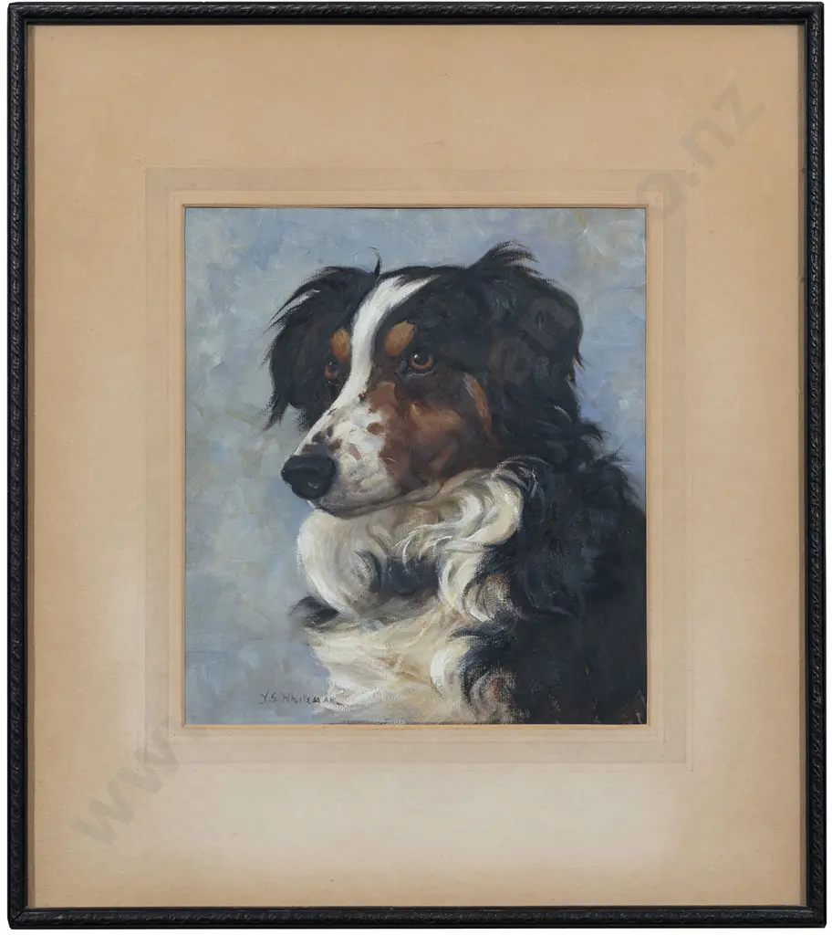 Vera Whiteman (1873 - 1952) - Border Collie Image 1++