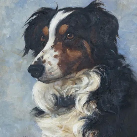 Vera Whiteman (1873 - 1952) - Border Collie
