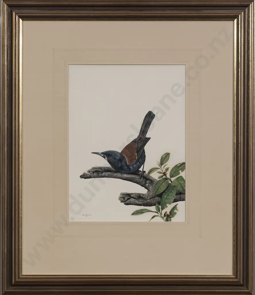 Paul Martinson (b 1956) - Saddleback Image 1++
