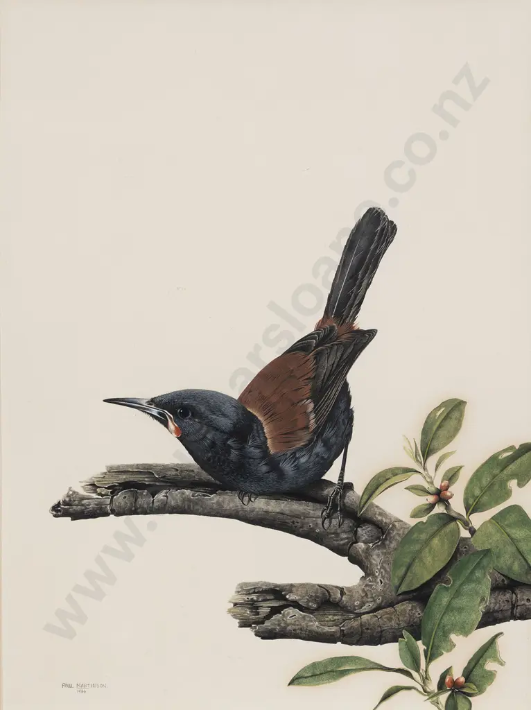 Paul Martinson (b 1956) - Saddleback Image 1++