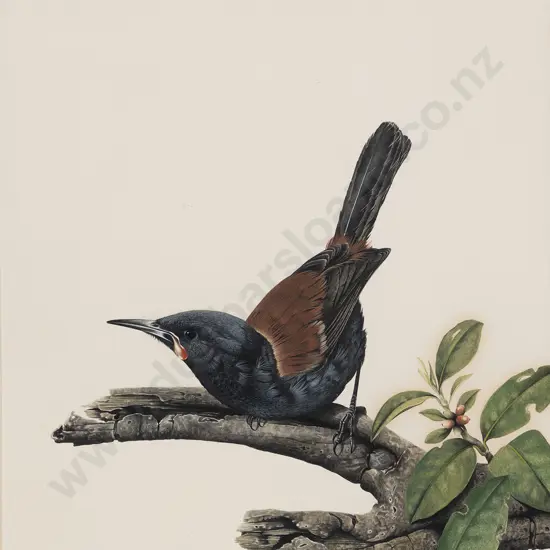 Paul Martinson (b 1956) - Saddleback