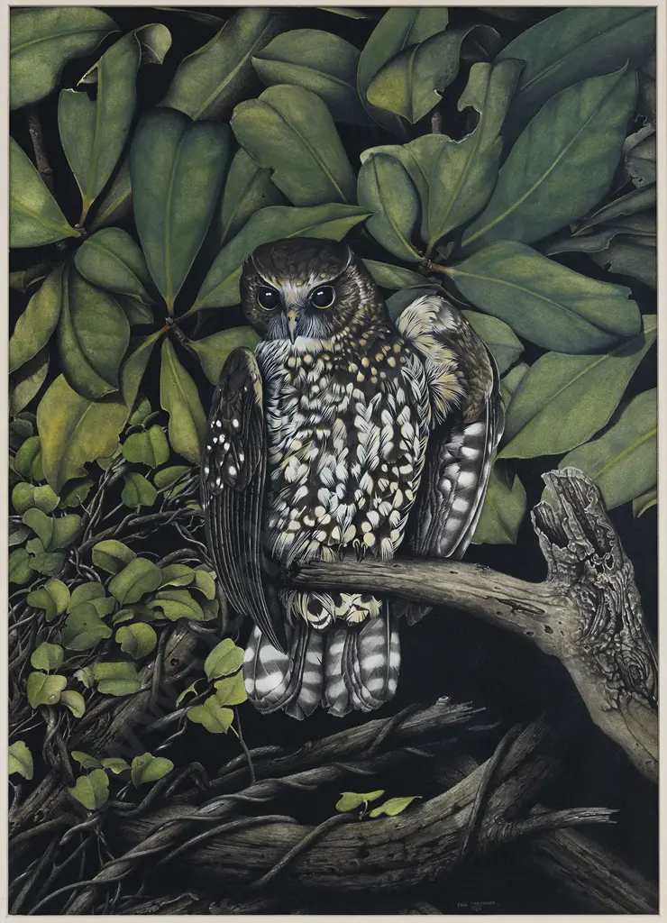 Paul Martinson (b 1956) - Morepork Image 1++