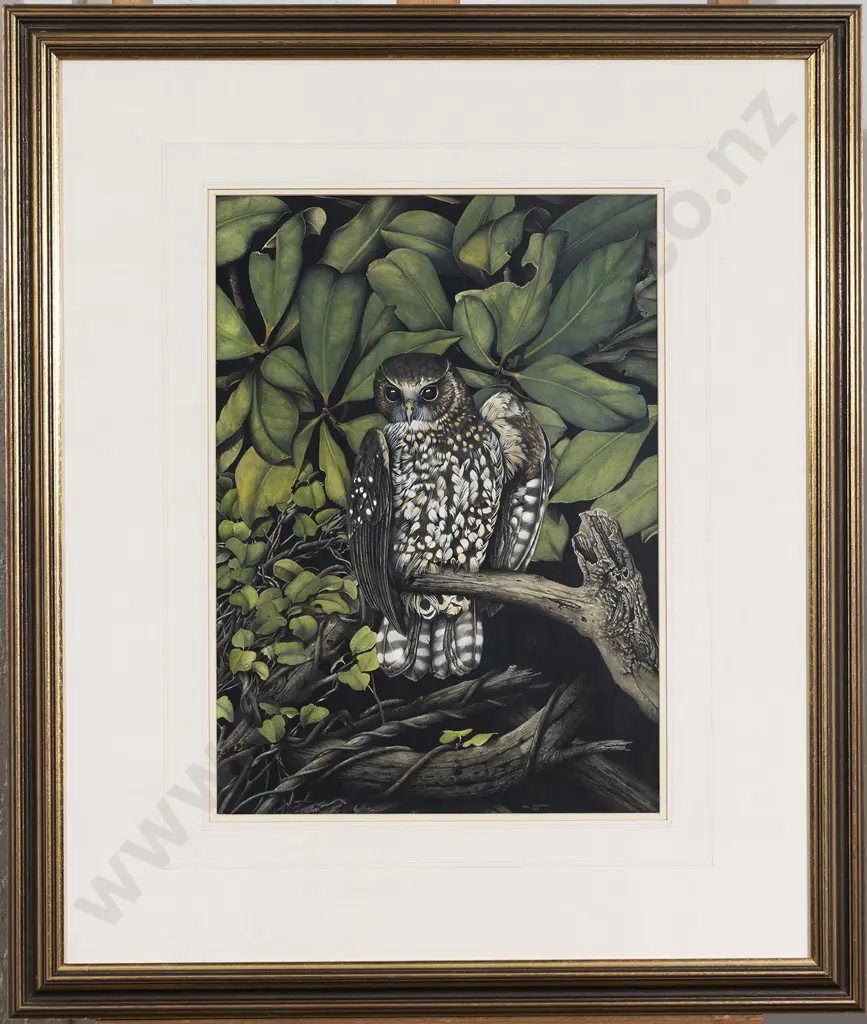 Paul Martinson (b 1956) - Morepork Image 1++