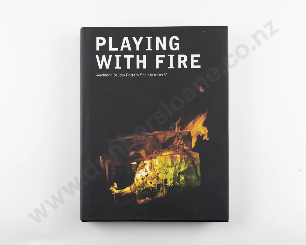 Playing With Fire Image 1++