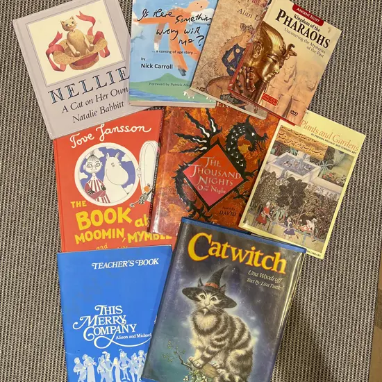 Small Box of Assorted Children's Books