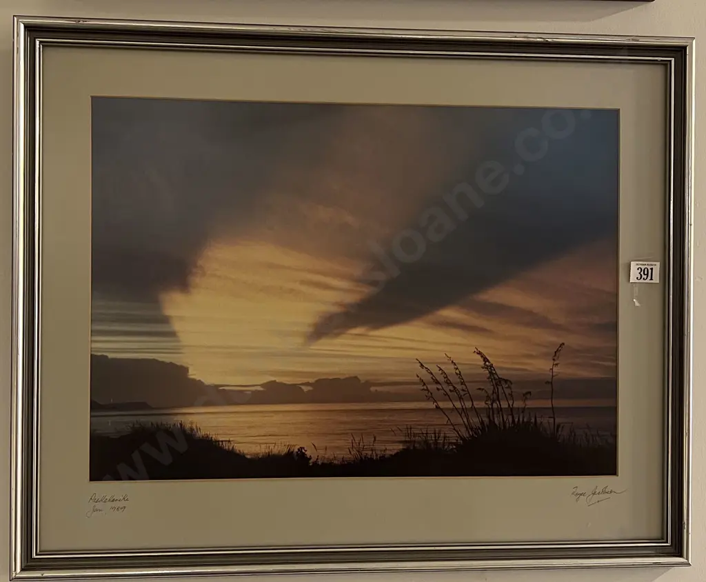 Royce Jackson - Paekakariki - Photography Work Image 1++