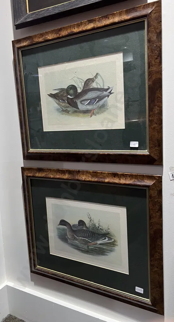 Two Vintage Duck Prints Image 1++