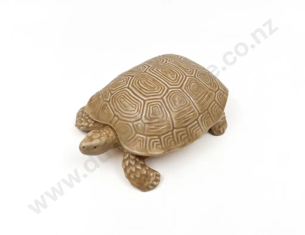 Sylvac Turtle Trinket Box #136 Image 1++
