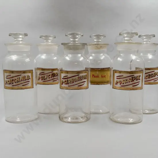 Six Large Chemist's Bottles