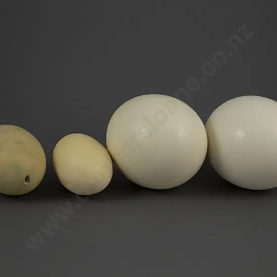 Two Ostrich Eggs & Two Resin Eggs