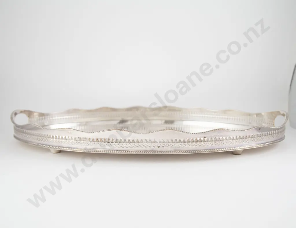 Oval S/P Two Handled Banquet Drinks Tray Image 1++
