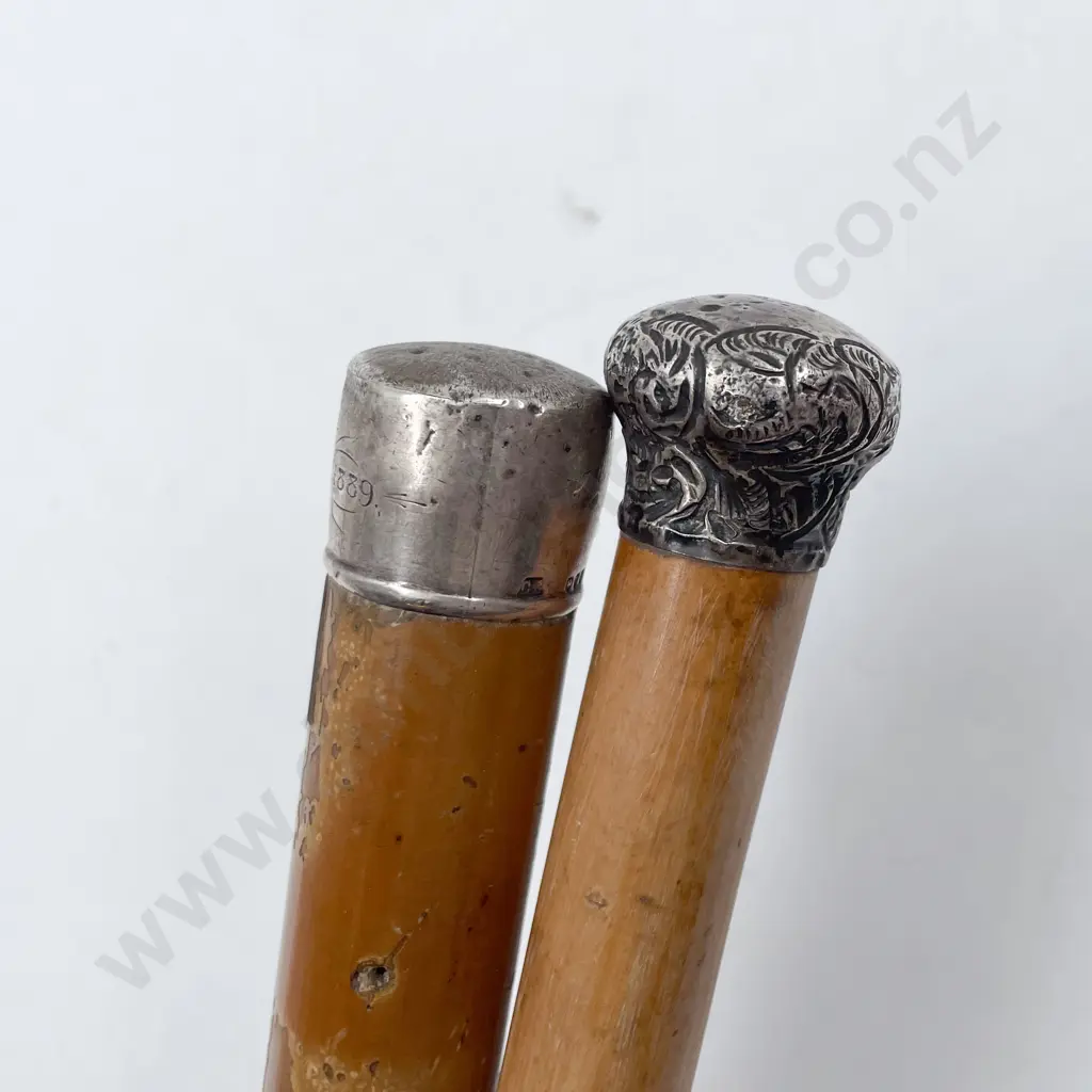 Two S/S Topped Walking Canes Image 1++