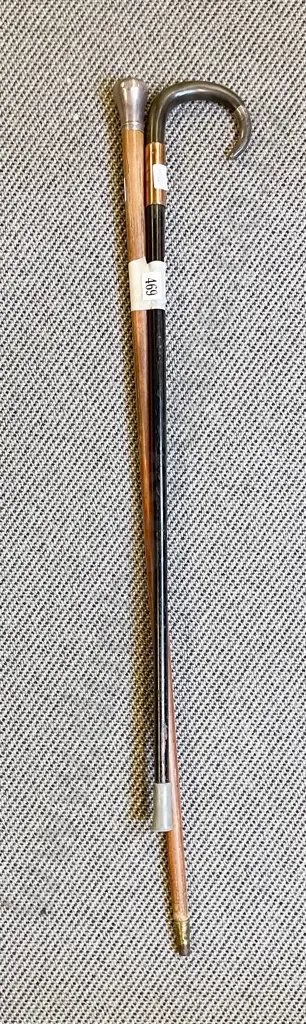 S/S Topped Walking Cane & Horn Handled Cane Image 1++