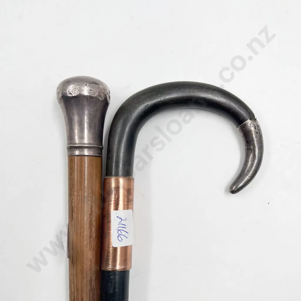 S/S Topped Walking Cane & Horn Handled Cane Image 1++