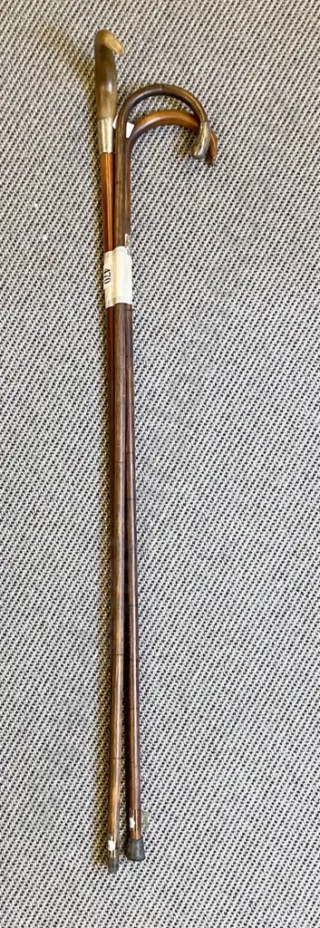 Horn Handled Cane & Two Others Image 1++