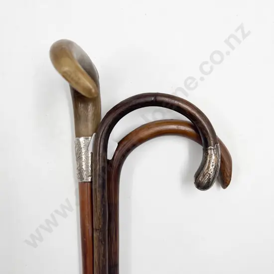 Horn Handled Cane & Two Others