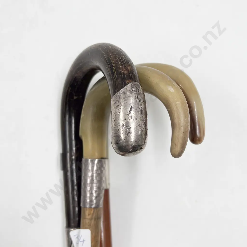 Two Horn Handled Walking Canes & Other Image 1++