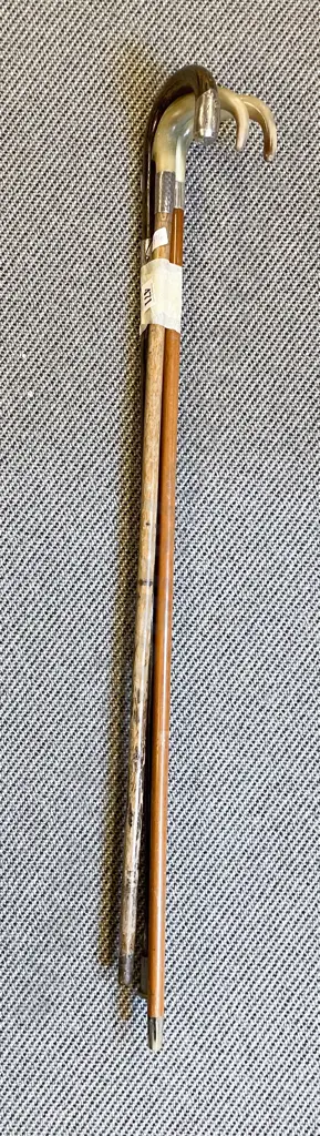 Two Horn Handled Walking Canes & Other Image 1++