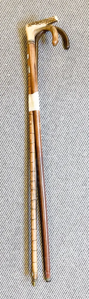 Antler Handled Walking Cane & Two Others Image 1++