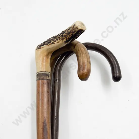 Antler Handled Walking Cane & Two Others
