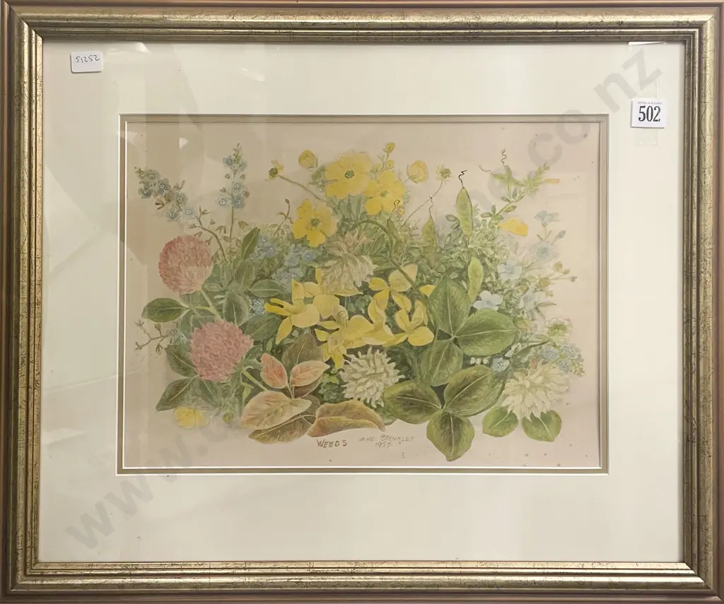 Jane Brenkley - Weeds - Pencil & Watercolour Image 1++