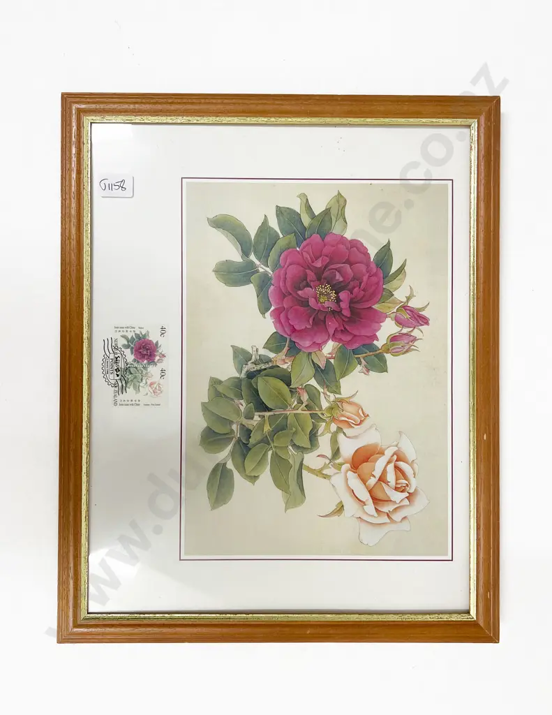 NZ Five Framed Stamp Prints with Matching Stamp Set Image 1++