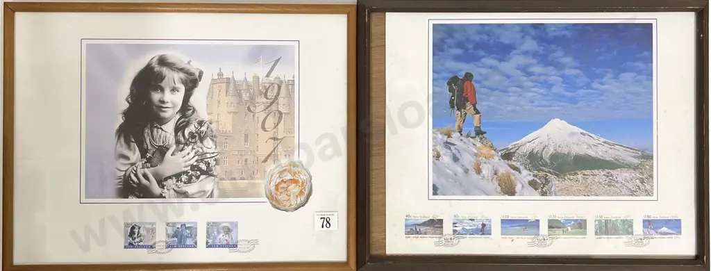NZ Five Framed Stamp Prints with Matching Stamp Set Image 1++