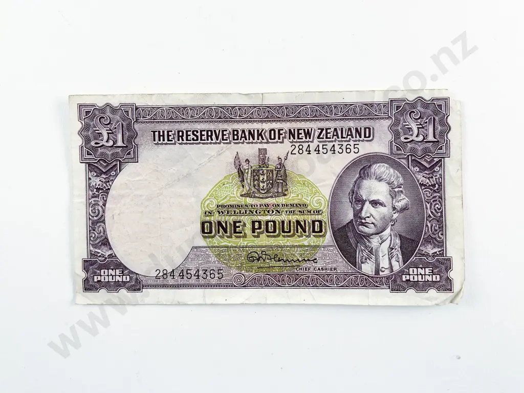 NZ One Pound Note Image 1++