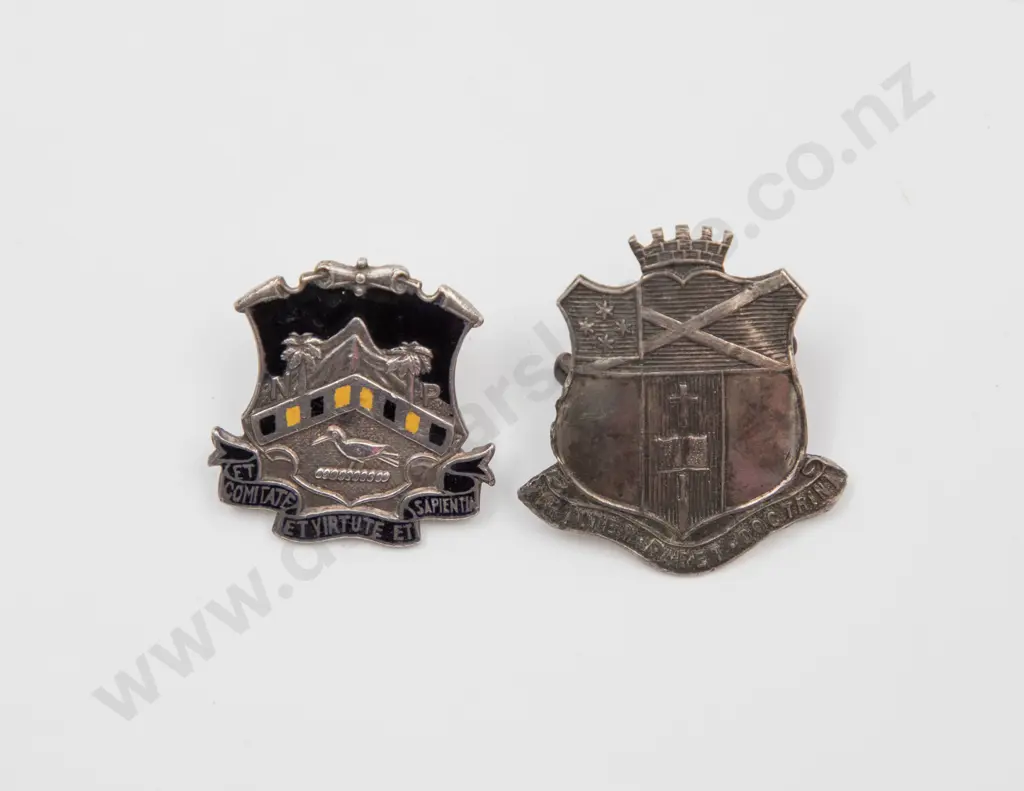 Two NZ Silver School Badges Image 1++