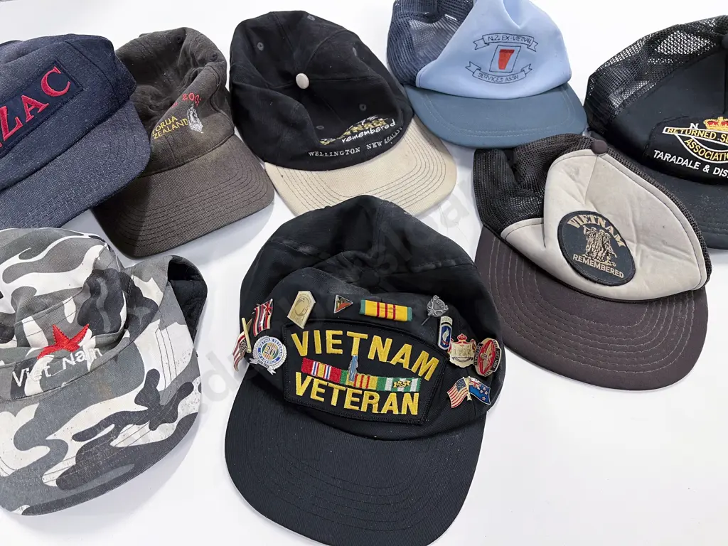 Collection Vietnam and Other Caps Image 1++