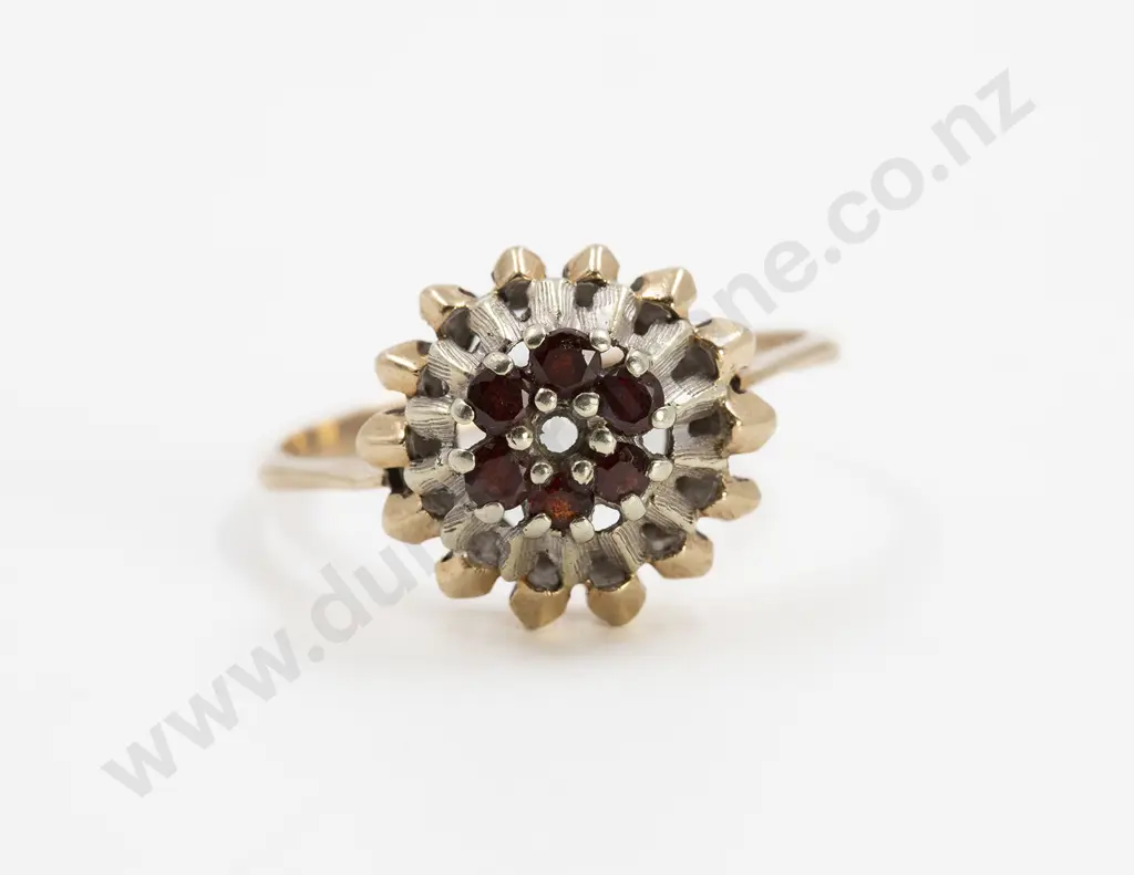 9ct Six Garnet Fancy Cluster Ring Image 1++