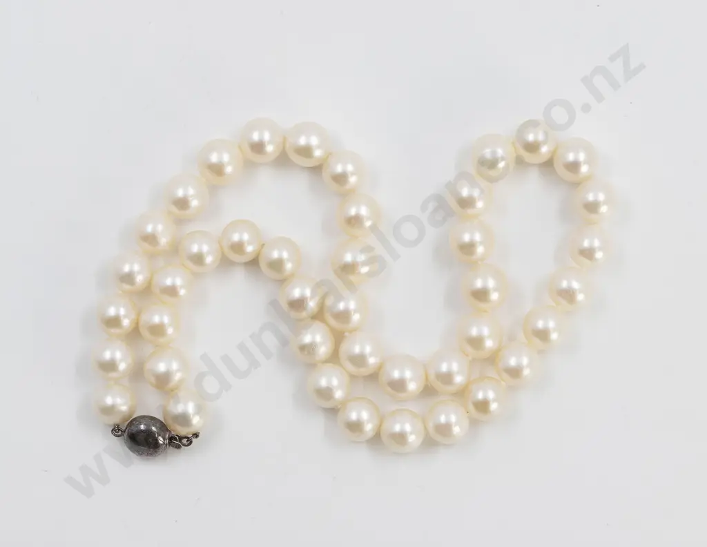 Single Strand Uniform Freshwater Pearl Necklace Image 1++