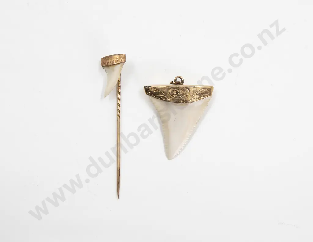 NZ Colonial 15ct Mounted Shark Tooth Pendant and 9ct Stick Pin Image 1++