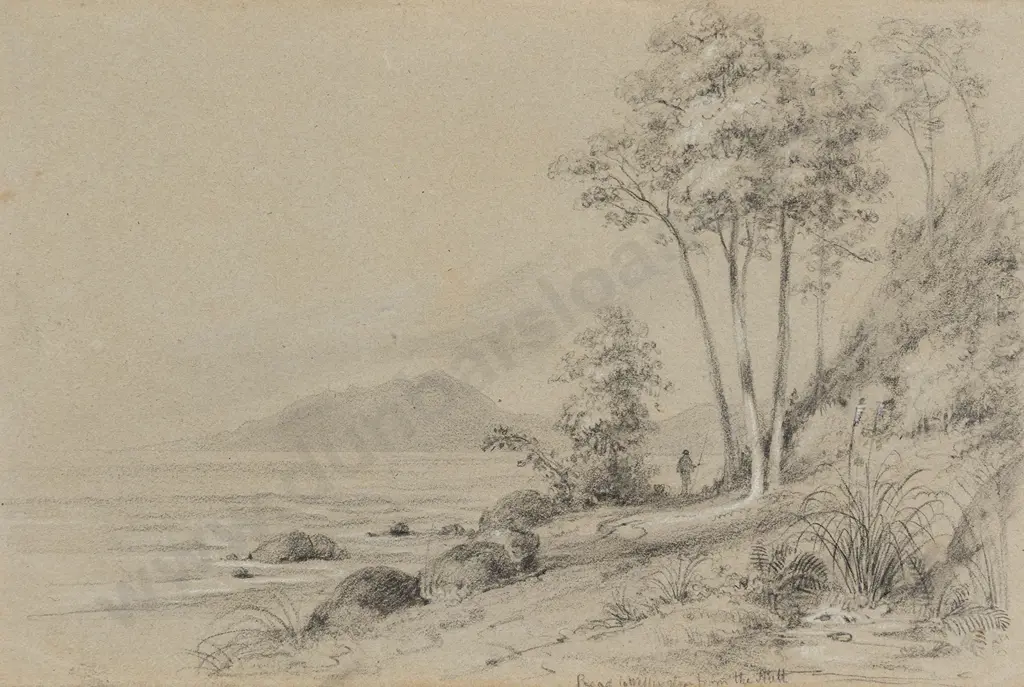 William Swainson (1789 - 1855) - Road to Wellington from the Hutt Image 1++