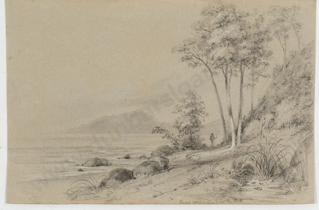 William Swainson (1789 - 1855) - Road to Wellington from the Hutt Image 1++