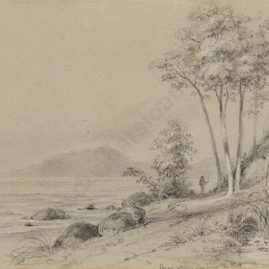 William Swainson (1789 - 1855) - Road to Wellington from the Hutt