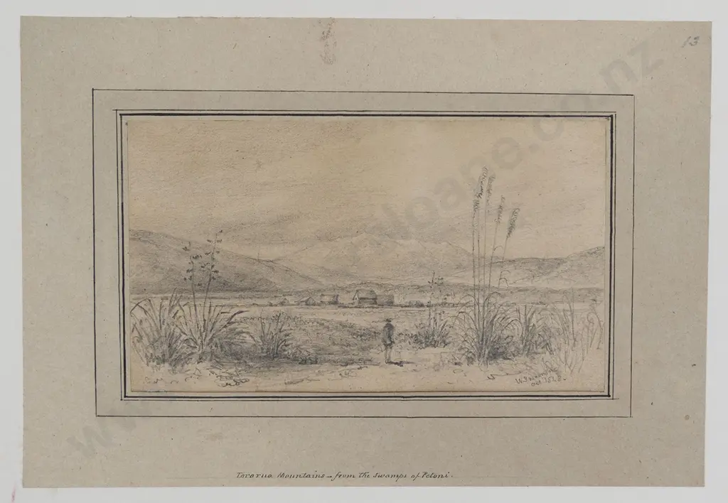 William Swainson (1789 - 1855) - Tararua Mountains Image 1++