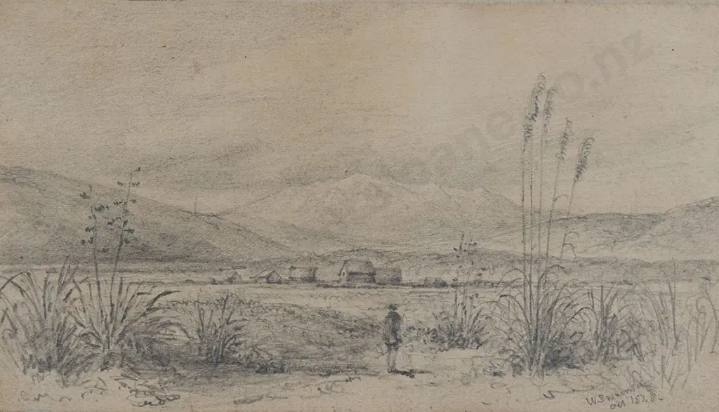William Swainson (1789 - 1855) - Tararua Mountains Image 1++