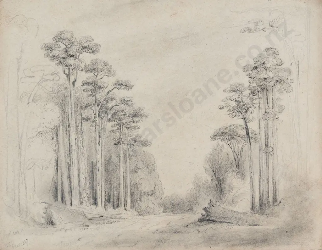 William Swainson (1789 - 1855) - Totara Grove Entrance of the Upper Hutt Valley Image 1++