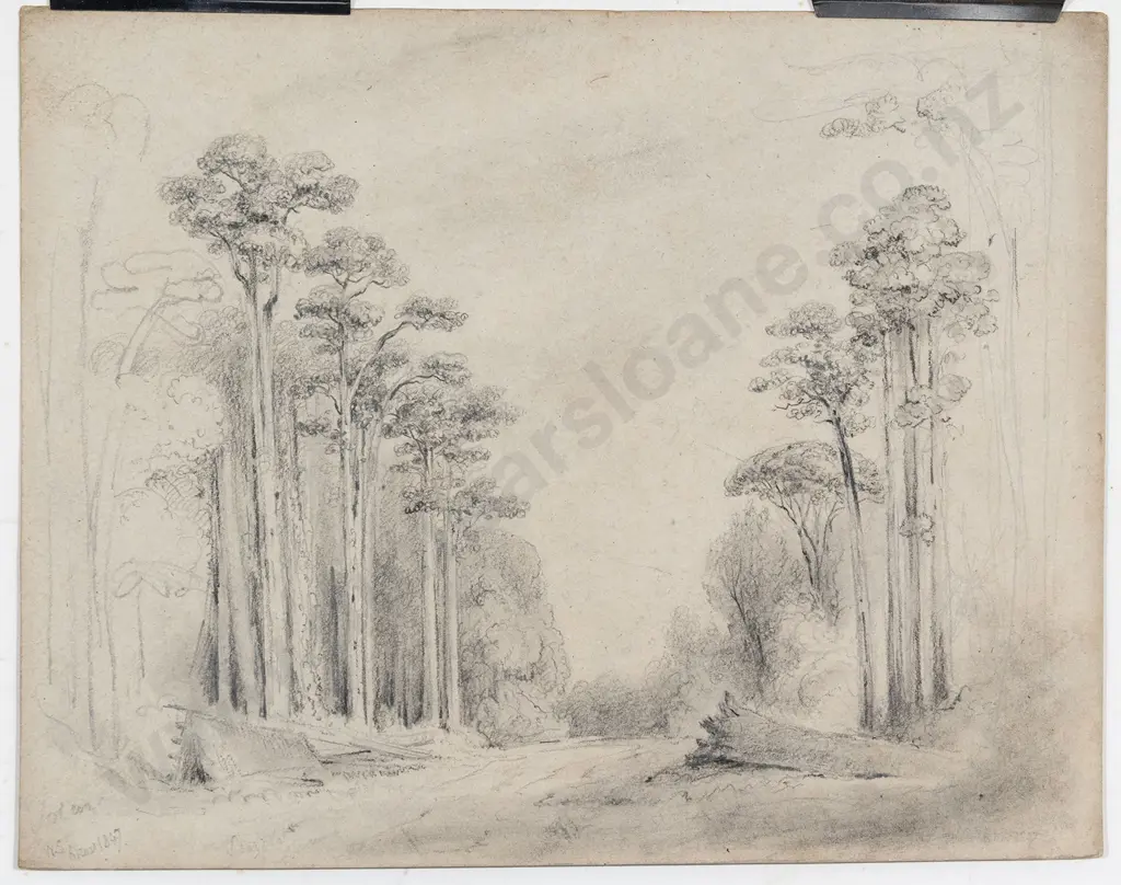 William Swainson (1789 - 1855) - Totara Grove Entrance of the Upper Hutt Valley Image 1++