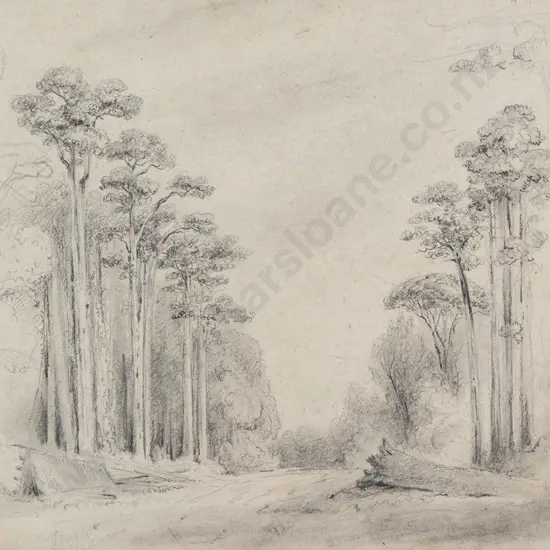 William Swainson (1789 - 1855) - Totara Grove Entrance of the Upper Hutt Valley