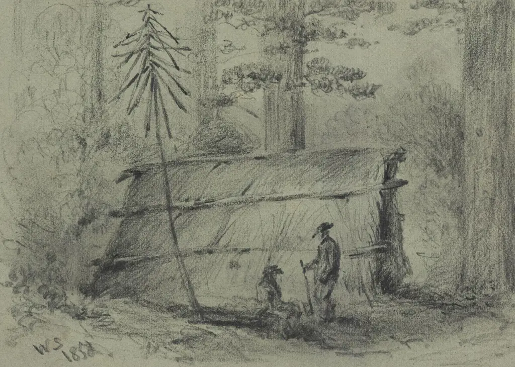 William Swainson (1789 - 1855) - Bushmans Hut Pakurati Hillls Image 1++