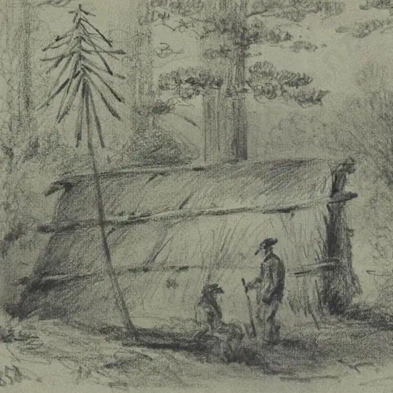 William Swainson (1789 - 1855) - Bushmans Hut Pakurati Hillls